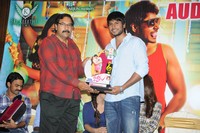Joru Movie Audio Sucess Meet Photos